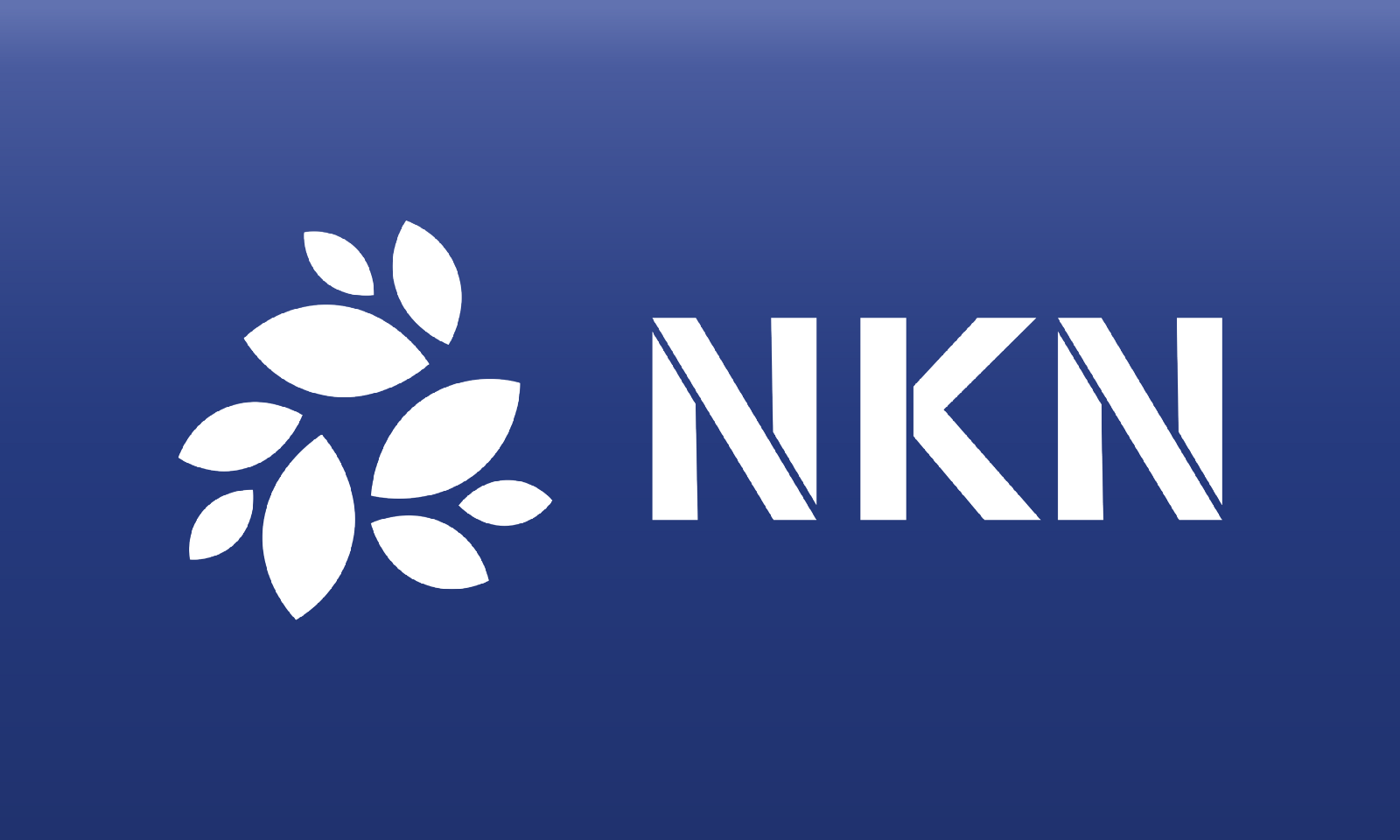 Что такое NKN Coin?