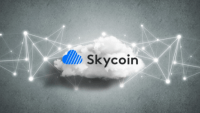 Как и где купить Skycoin Coin