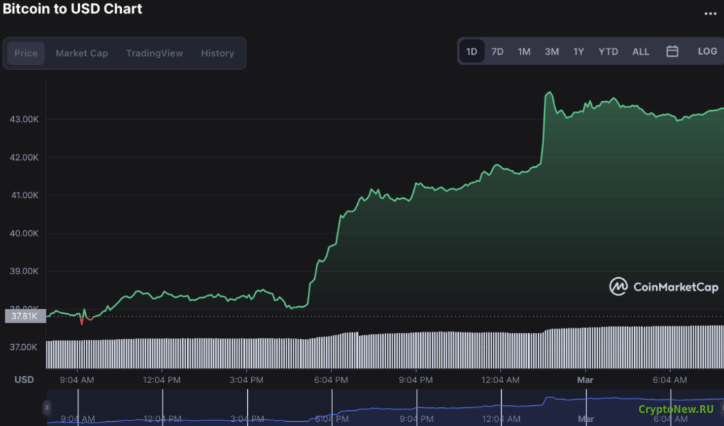 Рынок снова растет: Bitcoin (BTC) выше 43 000 долларов!
