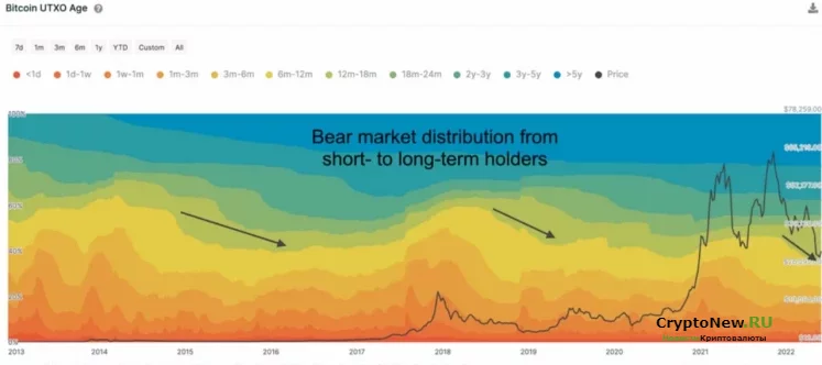 Насколько серьезен сегодняшний медвежий рынок и что можно сделать?
