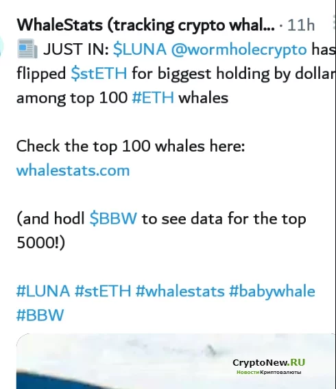 Дуэль Terra (LUNA) и Terra Classic (LUNC) накаляется: вот выбор китов!