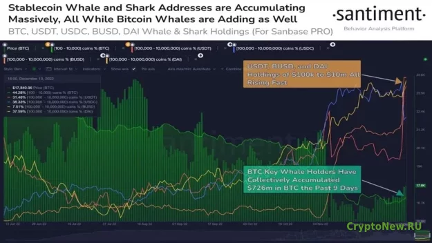 Как влияет на цену Bitcoin (BTC) накапливание криптовалюты китами.