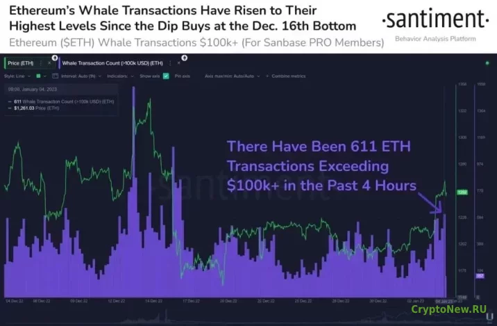 Santiment отметила рост транзакций китов Ethereum (ETH).
