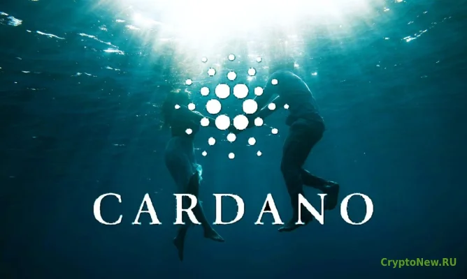 Что такое Warp Transactions от Cardano?