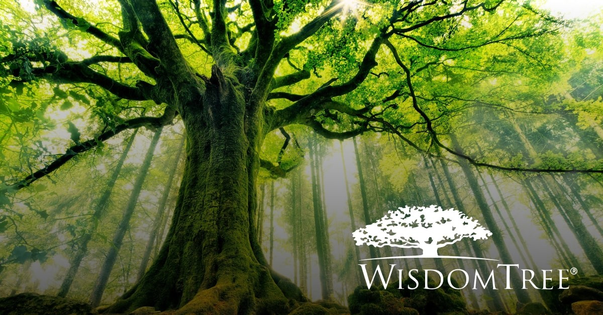 WisdomTree продает биткоины и эфириум на $599 млн